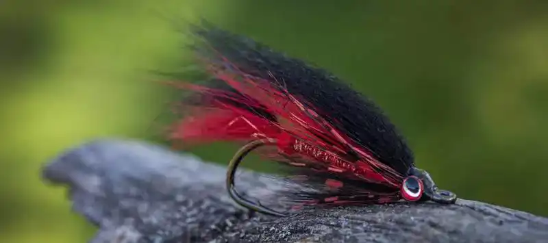 XO720 Patagon Bos Taurus Streamer #1