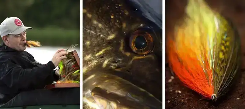 PR351 - Light Predator barbless