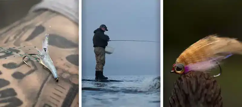 NS122 Light Stinger #10