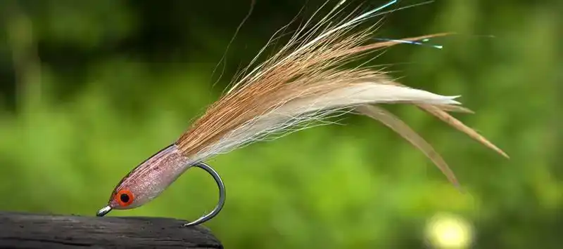 SA280 - SA Minnow - Maat: 1